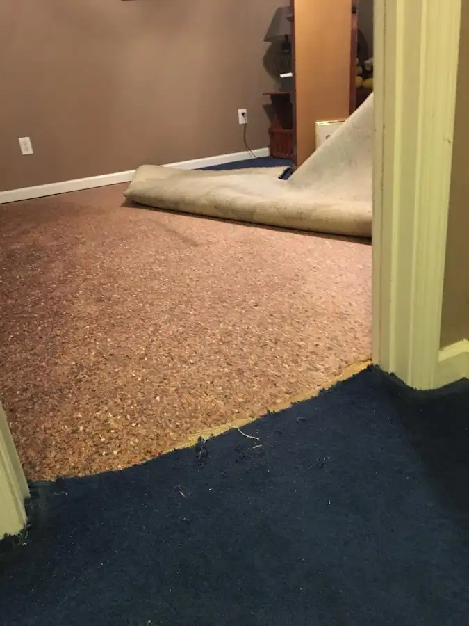 Carpet pad removal revealing water damage during Water Mitigation Services in Centralia
