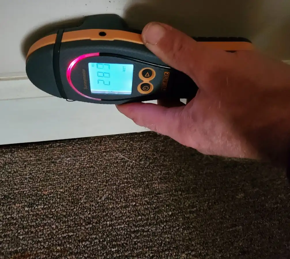Moisture detection at baseboard during Sewage Cleanup & Sanitation in Centralia